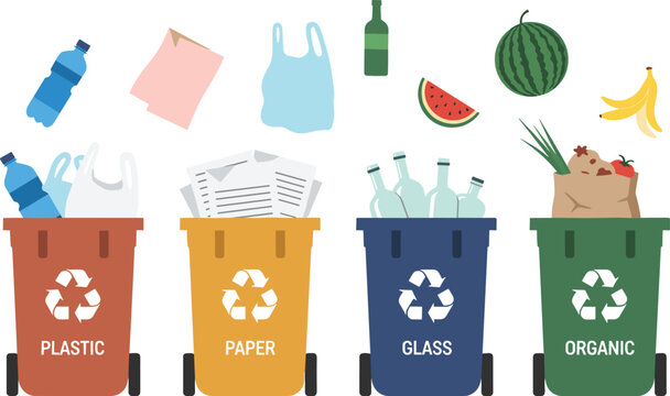 Waste sorting and recycling bins for plastic, paper, glass, and organic trash with recyclable items vector illustration for environmental protection and waste management