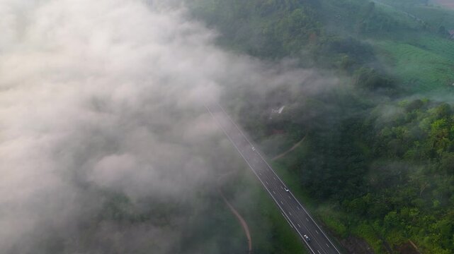 4K aerial top-down view of a straight highway cutting through a lush green forest covered in heavy morning fog