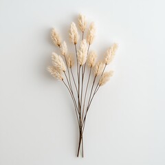 Fototapeta premium Elegant Dried Ornamental Grass Arrangement on Light Background for Home Decor Inspiration