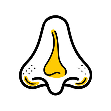 Illustrated design of a stylized human nose with a yellow highlight isolated on white background, Vector