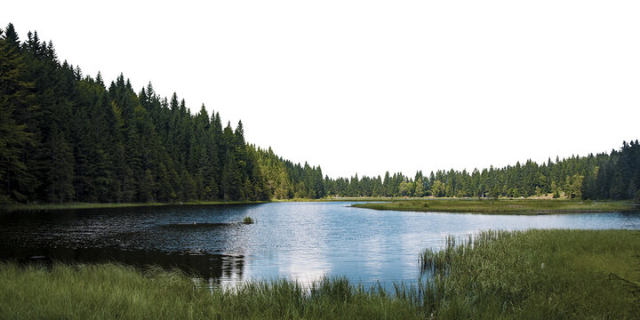 Forest lake png border, transparent background