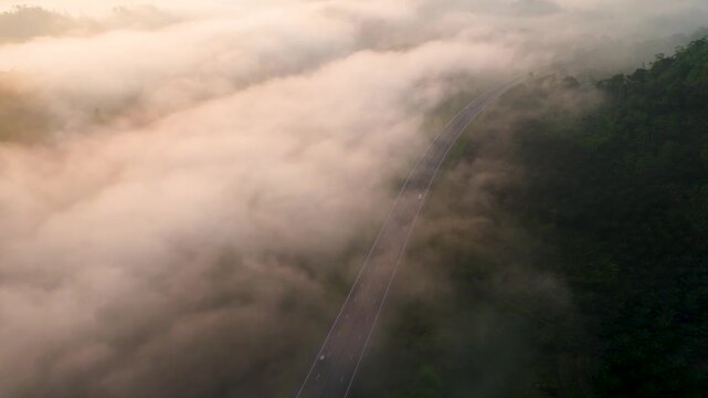 4K aerial top-down view of cars driving on a highway through dense forest and thick morning fog