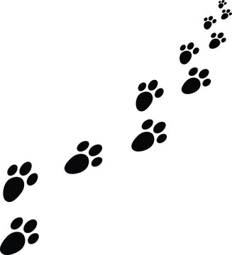 Easter sunday footprints of easter bunny