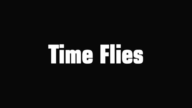 Phrase "time flies" presented in bold white typography against a stark black background conveying a sense of quick passing moments or urgency.