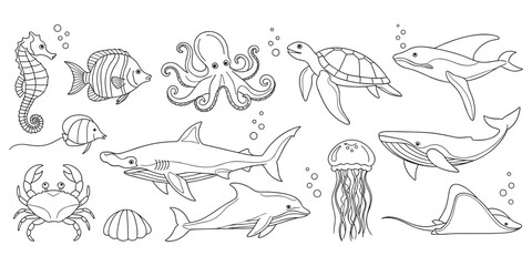 Flat vector illustration of marine life sea creatures, dolphin whale turtle fish octopus crab jellyfish seahorse seashell underwater design © Tauhidul