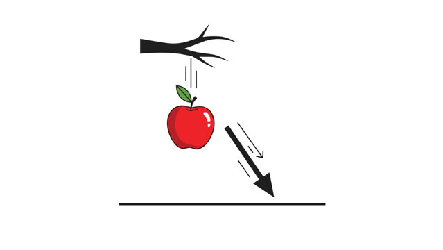 Educational physics diagram showing the law of gravity with a red apple falling from a dark tree branch towards the flat ground.