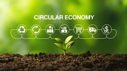 Circular Economy Concept Illustrated with Icons and a Sprout Growing from Soil against a Blurred Green Background