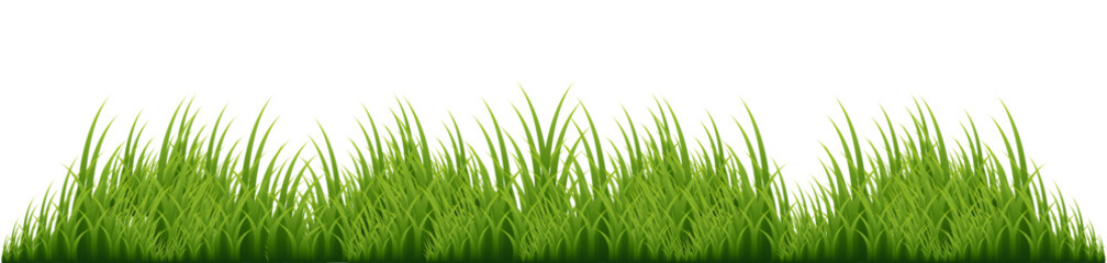 Green grass border isolated on transparent background.