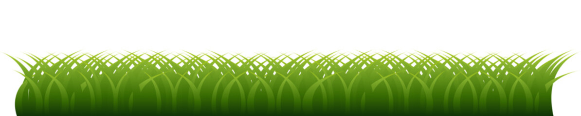 Green grass border isolated on transparent background.