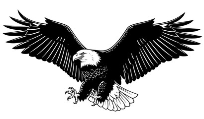 Obraz premium A black and white vector illustration of an eagle in flight
