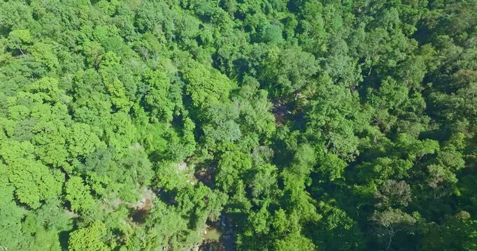 Aerial view of Tat Huang Waterfall flowing through lush green forest at Phu Suan Sai National Park in Loei Province, Thailand. This international waterfall forms a natural border Thailand and Laos