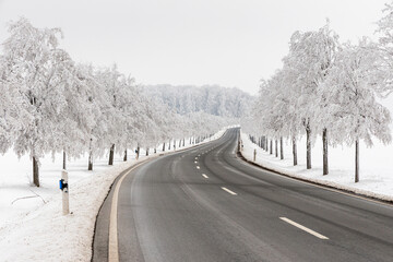 Landstraße von Bäumen gesäumt winterliche Straßenverhältnisse