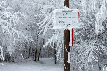 Winterwald wandern im Winter Harz © dk-fotowelt