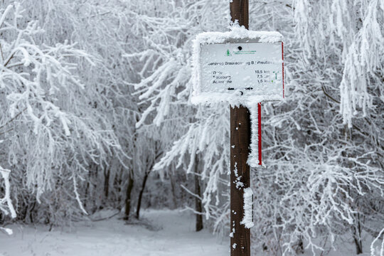 Winterwald wandern im Winter Harz