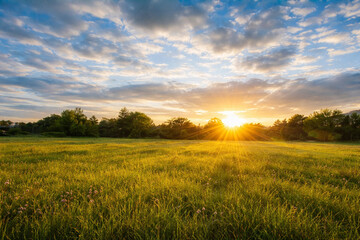 AI generated golden sunset over lush green meadow with sun rays dramatic clouds and peaceful countryside landscape ideal for nature travel and seasonal themes