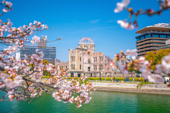 Atomic Bomb Dome with Cherry Blossoms  in Hiroshima