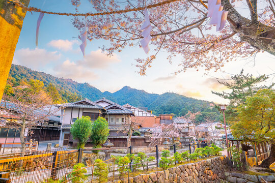 A serene view of the traditional architecture and stone lanterns on Miyajima Island during a sakura season