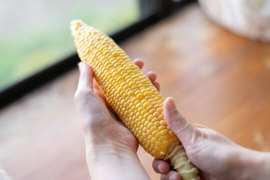 美味しそうなトウモロコシを持