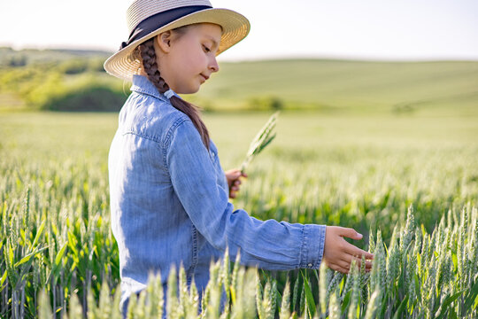 A young girl wearing a straw hat and denim shirt examines wheat stalks in a sunlit field, contemplating agriculture and nature