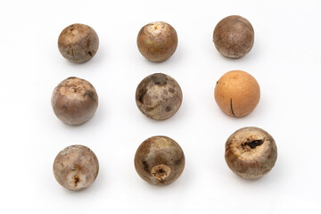 Fototapeta premium Nine Avocado Seeds Isolated on White Background, Top View Flat Lay of Brown Natural Pits with Unique Textures and Shapes, Minimal Food Concept with Clean Studio Lighting and Selective Focus