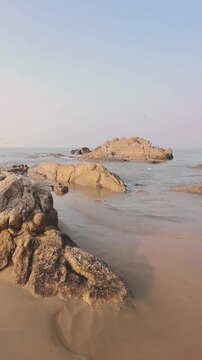 A cinematic horizontal pan shot showing a flock of seagulls flying and resting on rocky shores along the coast of China.