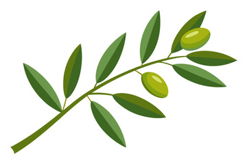 Fototapeta premium A minimalist vector graphic of an olive branch with green leaves and olives on a white background