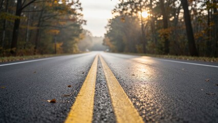 Fototapeta premium An empty asphalt road with yellow center lines curves through a forest in autumn. Wet pavement reflects the sun, surrounded by colorful fall foliage.