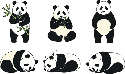 Cute panda bear cartoon character set with eating bamboo standing sitting and sleeping poses adorable wildlife animal vector illustration. © MstSuborna