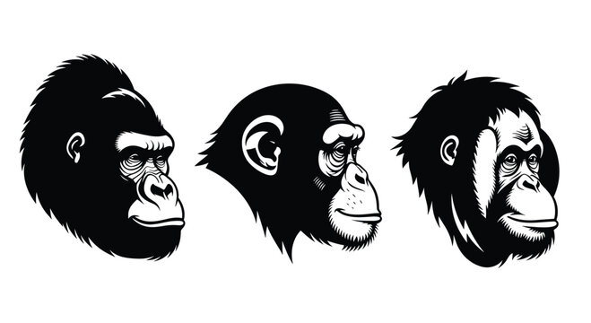 Three monkey heads in profile with different expressions and hair textures, Generative AI.