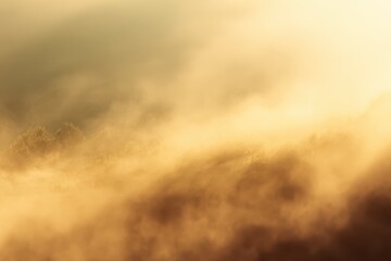 Obraz premium Golden sunrise fog over mountain forest landscape, soft misty morning light background