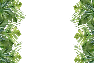 Fotobehang Tropisch Cute watercolor tropical leaf frame with lush monstera, palm and banana foliage on white background, hand painted in soft green tones, perfect for invitations, stationery, wall prints and modern decor  © Cristina