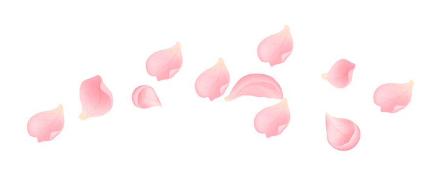Realistic pink sakura petals with soft gradients isolated on white background. Spring floral vector set for wedding design, romantic branding and seasonal decoration