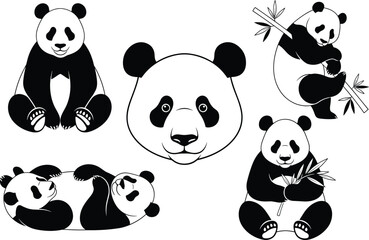 Obraz premium Black and white panda bear character set with bamboo eating sitting sleeping and face illustration cute wildlife animal vector collection.