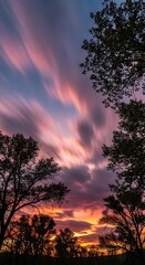 Obraz premium Vibrant sunset with silhouette trees against colorful sky