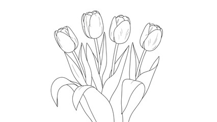 Fototapeta premium Simple line art drawing of a bouquet of five tulips with long green leaves stands tall against a plain white background.