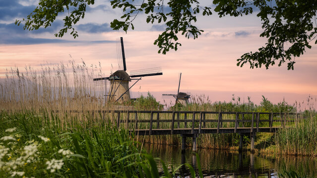 Kinderdijk windmills and canal bridge at sunset in The Netherlands.