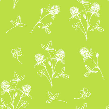 seamless continuous pattern of cornflowers and wild wild grass on a dark blue background.ai
