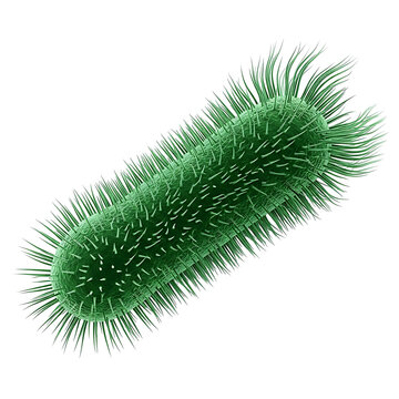 A close-up view of a green bacterium with hair-like structures on its surface