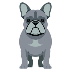 Fototapeta premium Cartoon illustration of gray french bulldog standing on four legs, adorable pet character design ideal for animal lover, veterinary and mascot themes