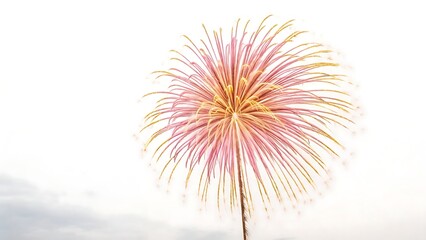 Obraz premium A vibrant pink and yellow firework exploding in the air