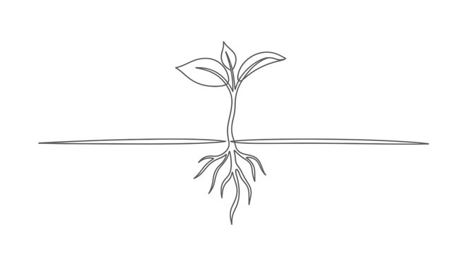 Single line drawing of a growing seedling with roots, representing growth and new life