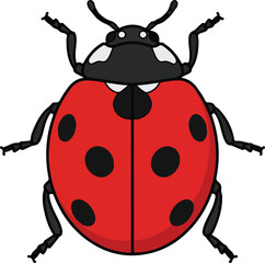 Obraz premium A close-up illustration of a red ladybug with black spots and antennae.