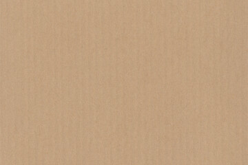 Fototapeta premium Kraft Paper Texture
