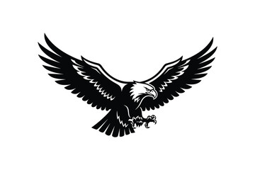 Obraz premium Adobe Illustrator Artwork