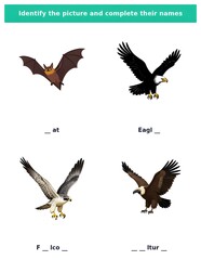Obraz premium Birds of Prey Educational Worksheet Complete the word printable spelling practice page