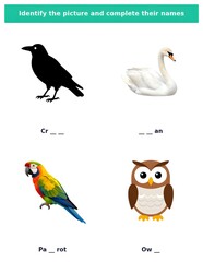 Obraz premium Birds Identification Worksheet for Children Name Completion printable spelling practice page