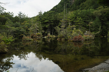 In the quiet swamp beside the lake, green forest reflections shimmer on the water, while every tree and fallen wood blends gently into the peaceful rhythm of nature.