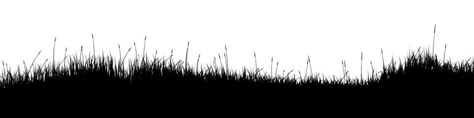 Fototapeta premium Meadow silhouette with grass, plants on plain. Panoramic summer lawn landscape with herbs, various weeds. Herbal border, frame element. Black horizontal banners. Vector illustration