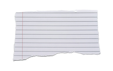 Fragment of lined notebook paper with a red vertical margin, ripped edges, isolated on a white backdrop.