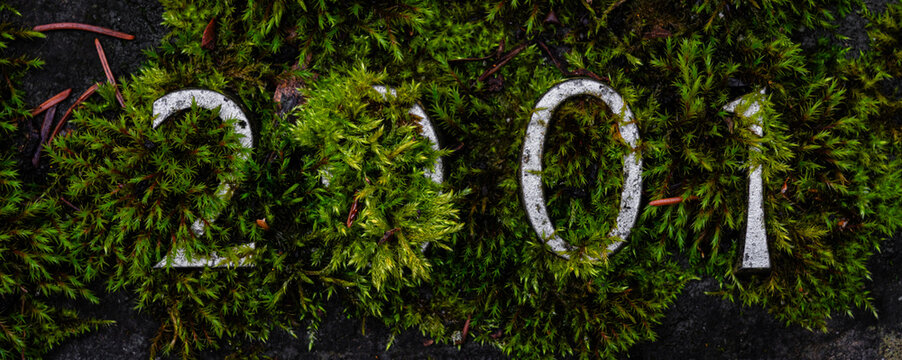 2001 Jahreszahl mit Moos bewachsen